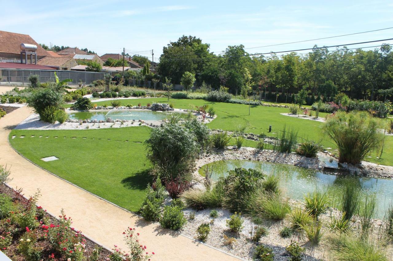 Casa Da Alzira Pensionat Anadia Exteriör bild